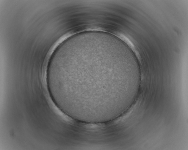 X0000114110947200910191659