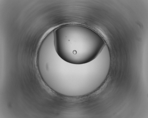 X0000114110948200910191659