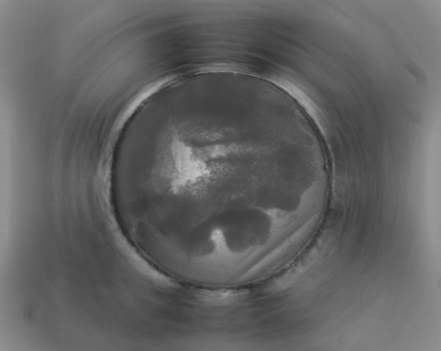 X0000114110949200910191659