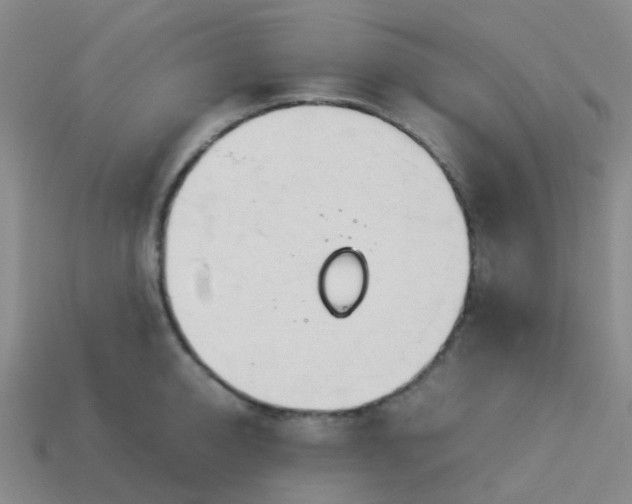 X0000114110950200910191659