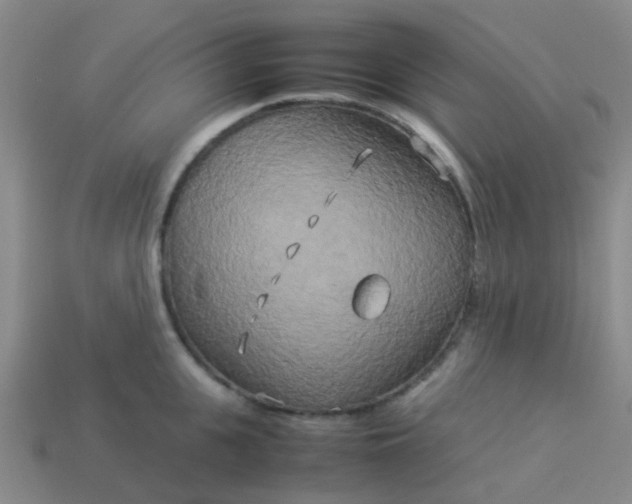 X0000114110951200910191659