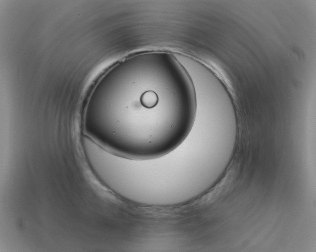 X0000114110952200910191659