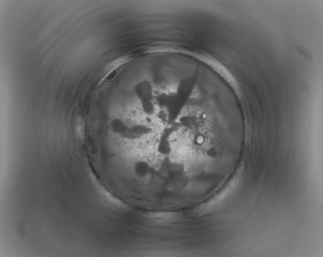 X0000114110953200910191659