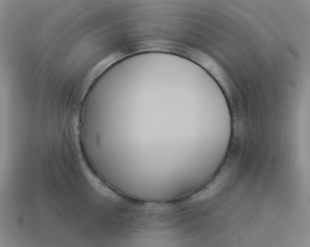 X0000114110954200910191659