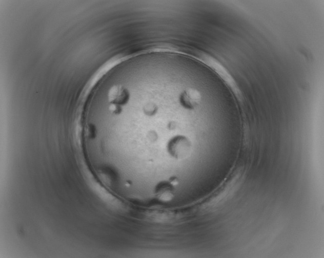 X0000114110955200910191659