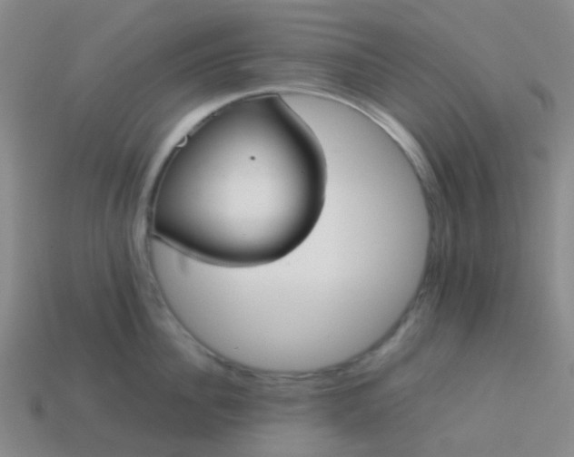 X0000114110956200910191700