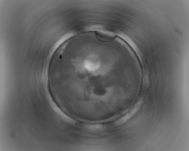 X0000114110957200910191700