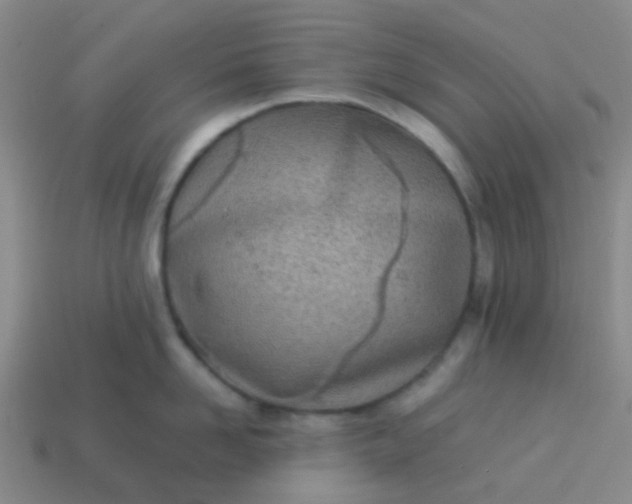 X0000114110958200910191700