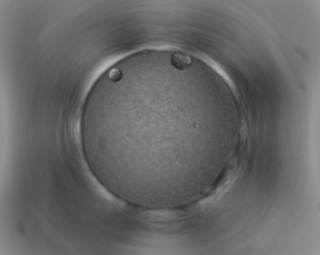 X0000114110959200910191700