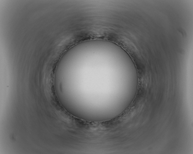 X0000114110961200910191659