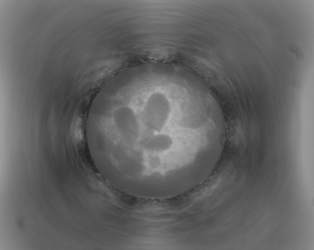 X0000114110962200910191659