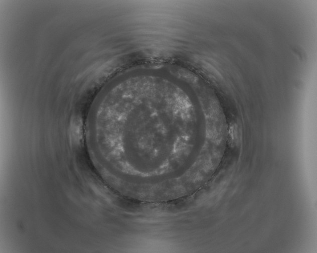 X0000114110963200910191659