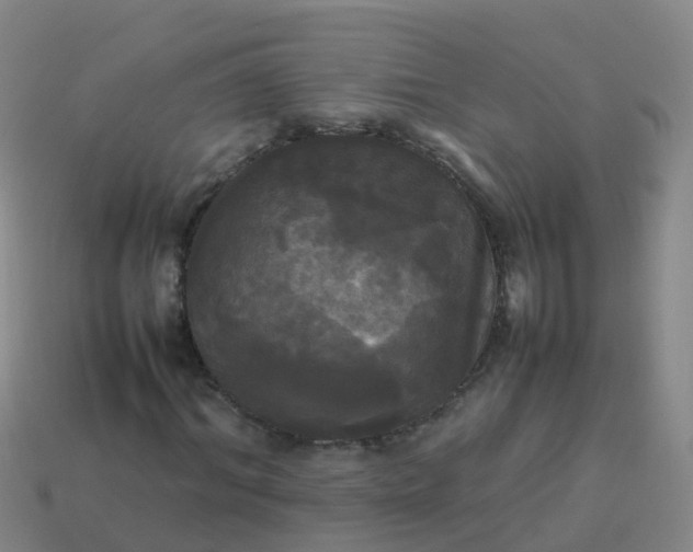 X0000114110964200910191659