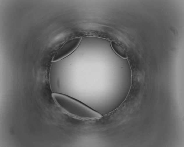 X0000114110965200910191659