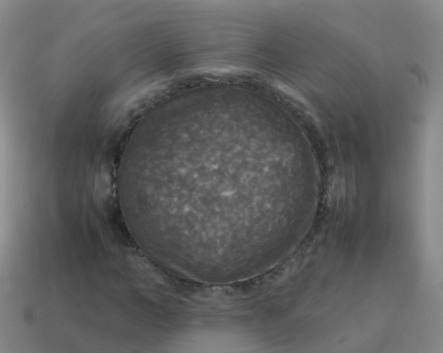 X0000114110966200910191659