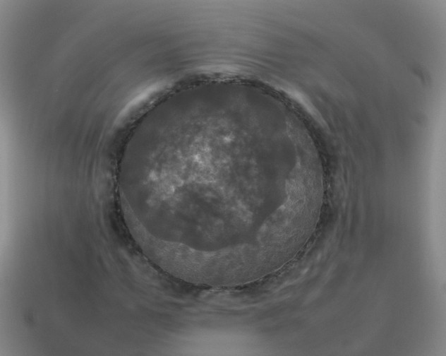 X0000114110967200910191659