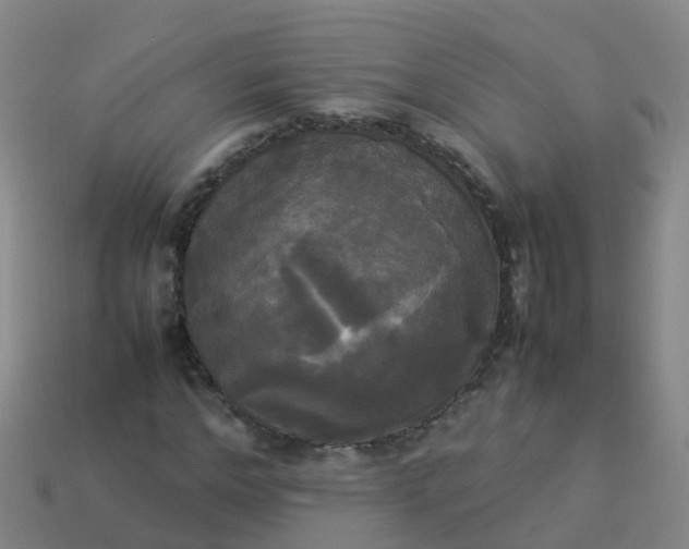 X0000114110968200910191659