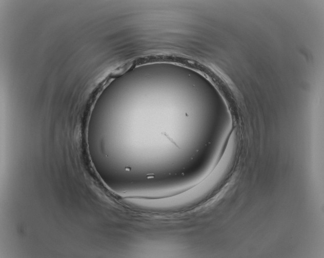 X0000114110969200910191659