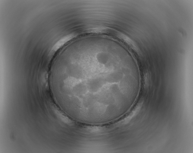 X0000114110970200910191659