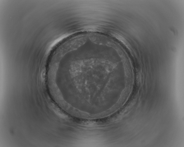 X0000114110971200910191659