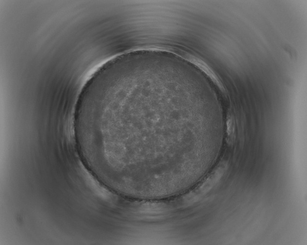 X0000114110972200910191659