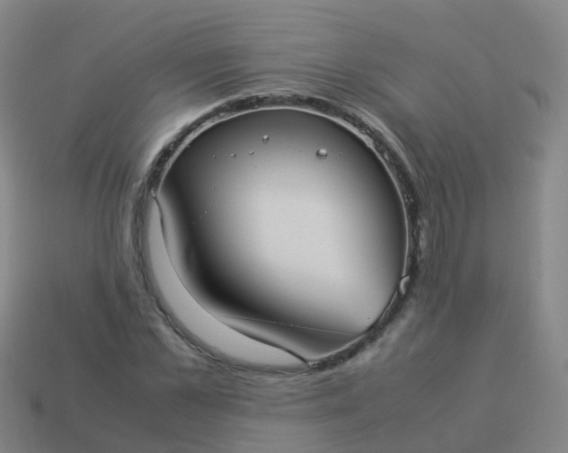 X0000114110973200910191659