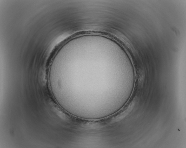 X0000114110974200910191659