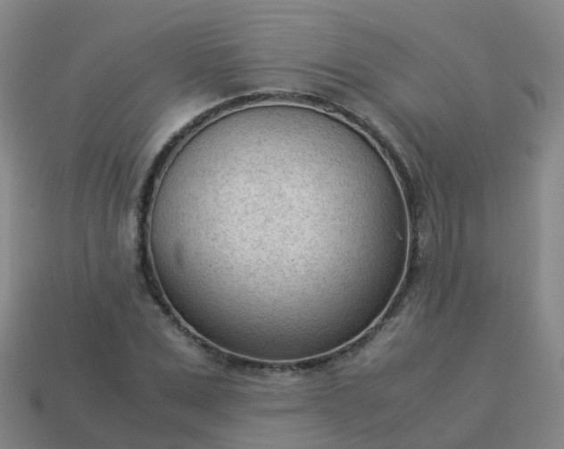 X0000114110975200910191659