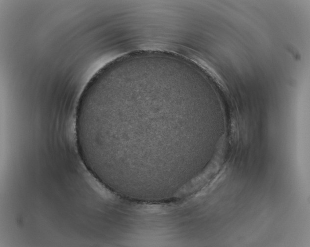 X0000114110976200910191659