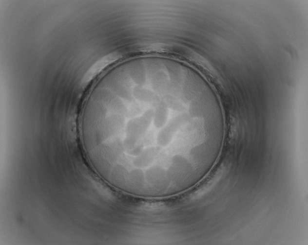 X0000114110978200910191659