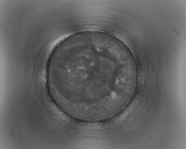 X0000114110979200910191659