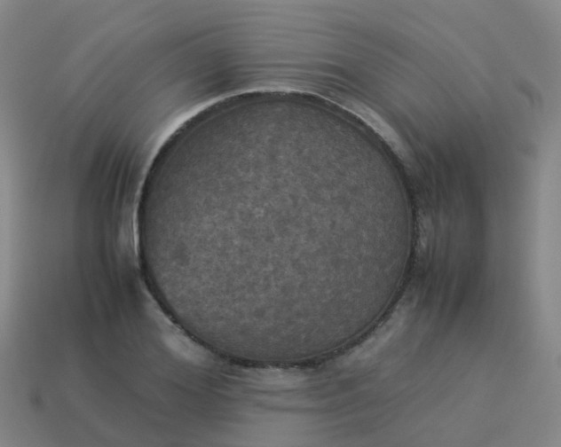 X0000114110980200910191659