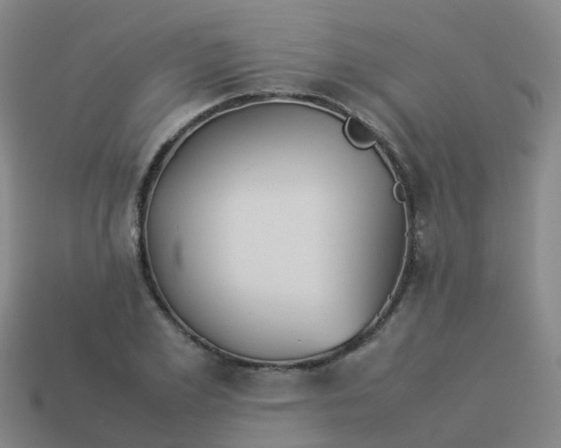 X0000114110981200910191659