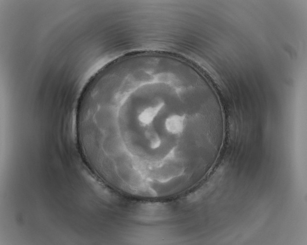 X0000114110982200910191659