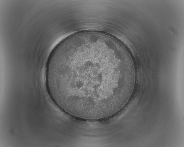 X0000114110983200910191659