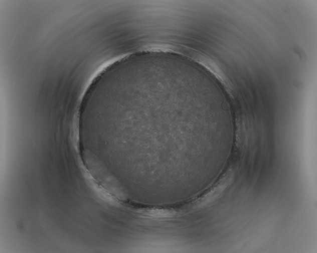 X0000114110984200910191659