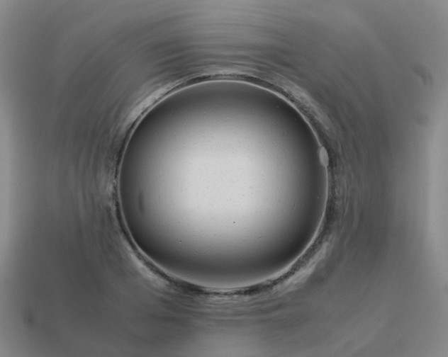 X0000114110985200910191659