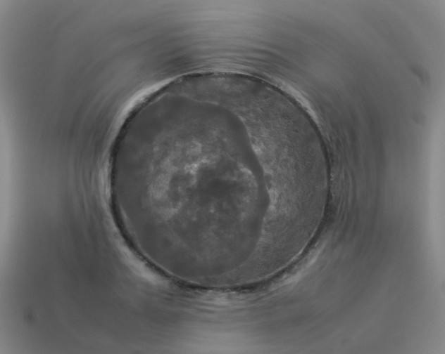 X0000114110987200910191659