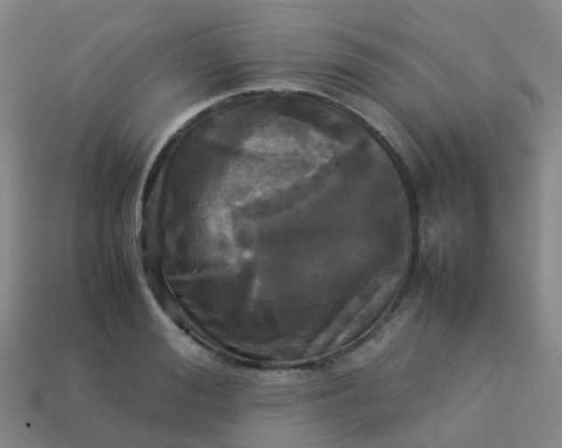 X0000114110988200910191659