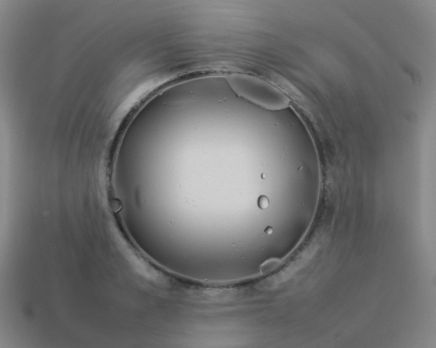 X0000114110989200910191659