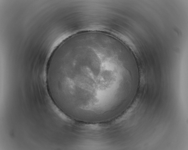 X0000114110990200910191659