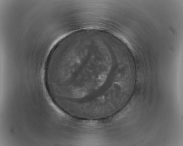 X0000114110991200910191659