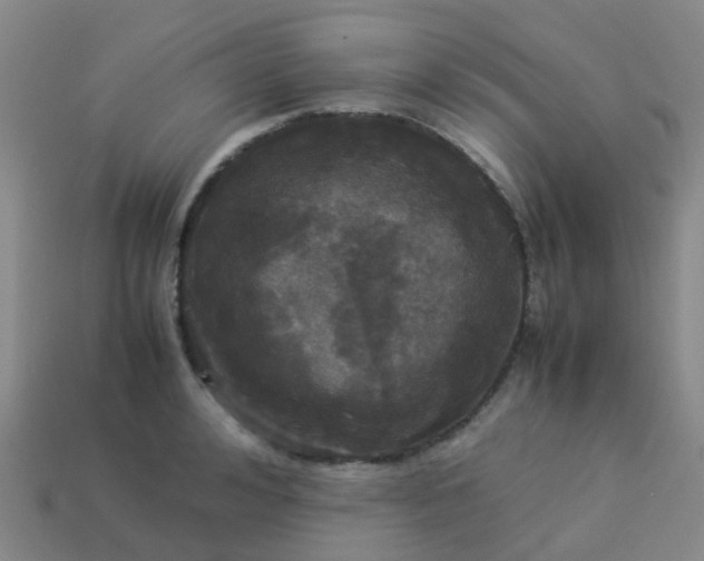 X0000114110992200910191659