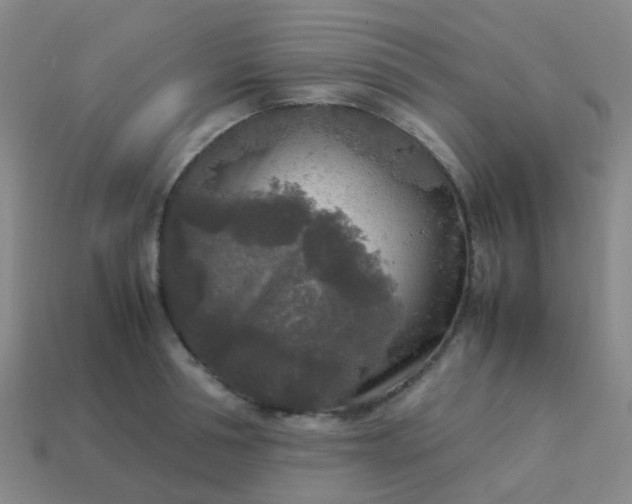 X0000114110994200910191659