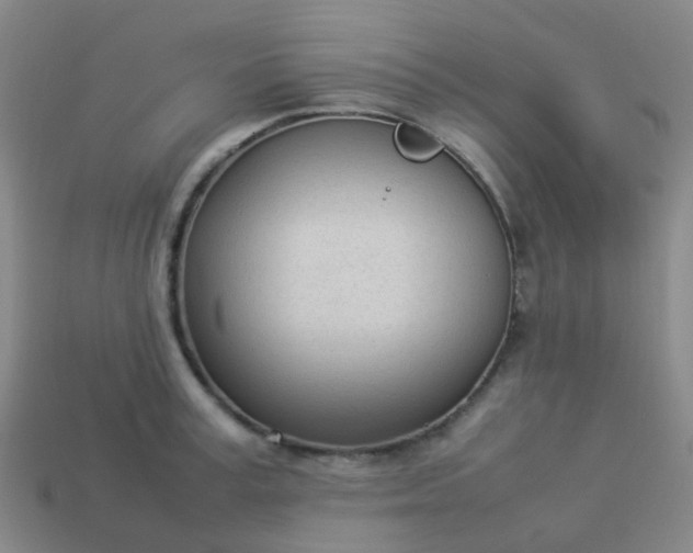 X0000114110995200910191659