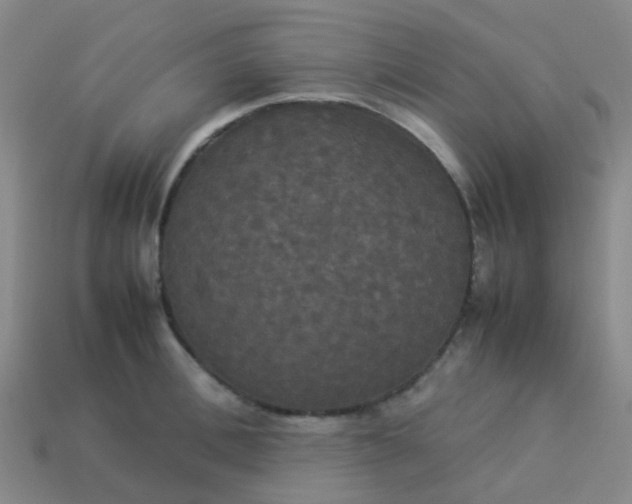 X0000114110996200910191658