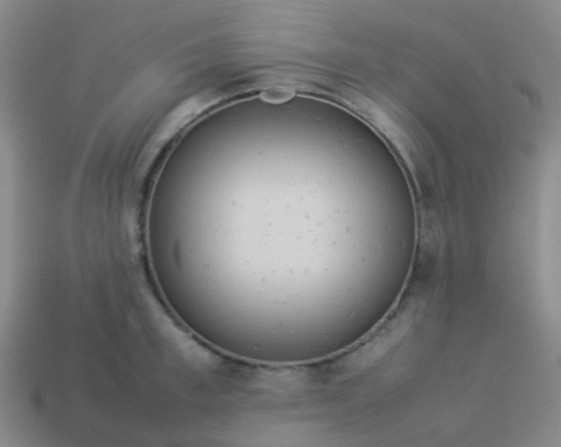 X0000114110997200910191658