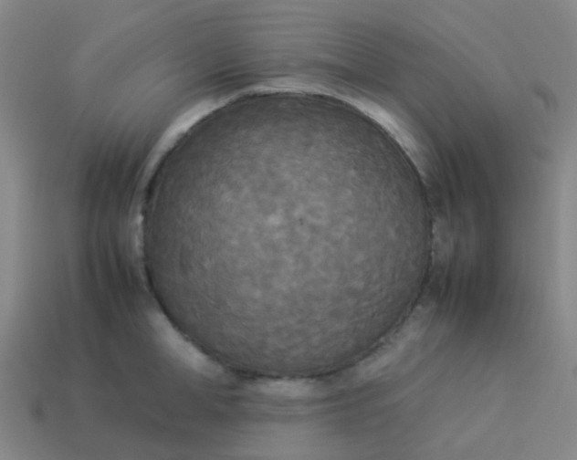 X0000114110998200910191658