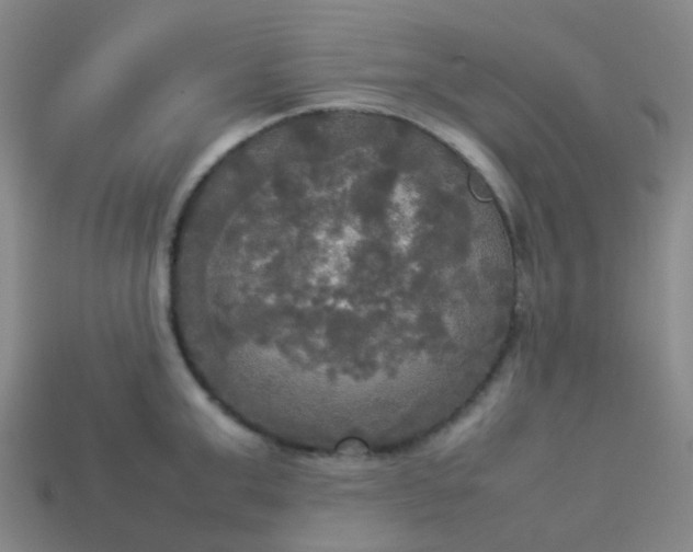 X0000114110999200910191658