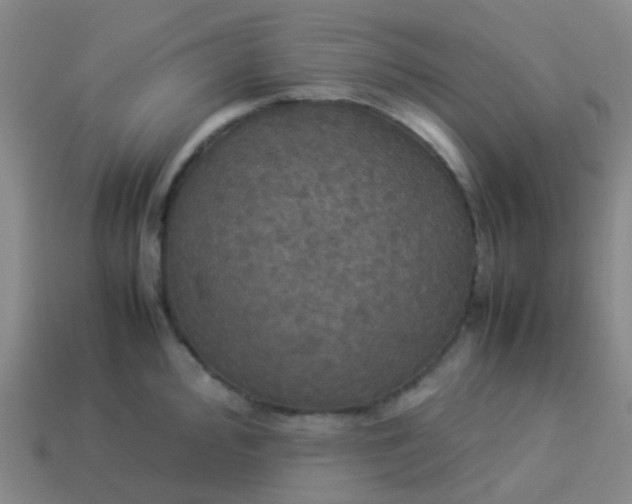 X0000114111000200910191658